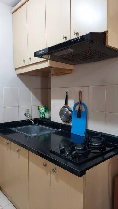 2 Bedroom Sunter Park View With Pool And Netflix Jakarta